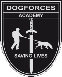 Dogforces Academy